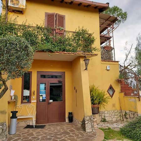Agriturismo Ali E Radici 시스테르나 디 라티나 외부 사진